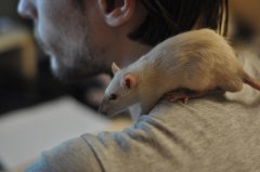 DSC_0032.JPG