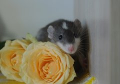 DSC_0140.JPG