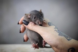 изображение_viber_2020-09-26_11-49-48